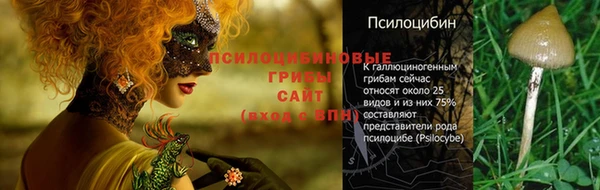герыч Абинск