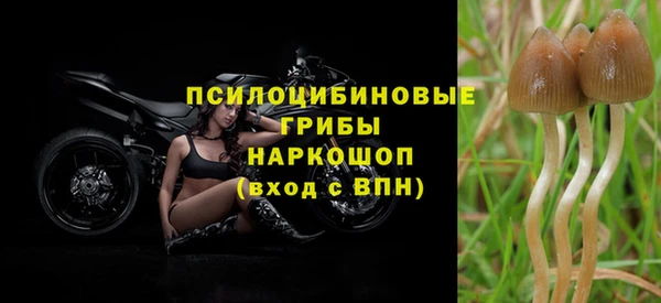сатива Абаза