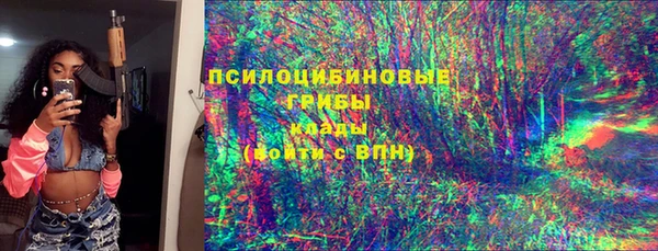 сатива Абаза