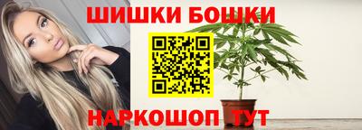спайс Гагарин