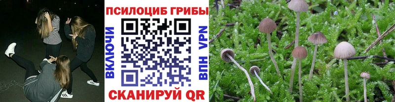 где купить наркоту  Лангепас  Псилоцибиновые грибы Cubensis 